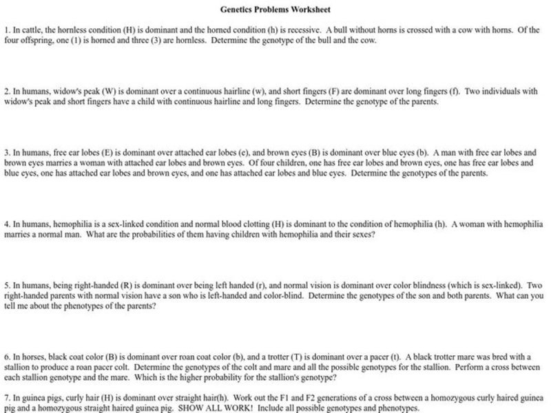 Genetics Problems Worksheet Worksheet