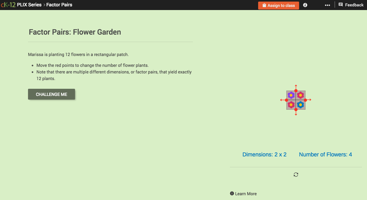 Factor Pairs: Flower Garden Interactive