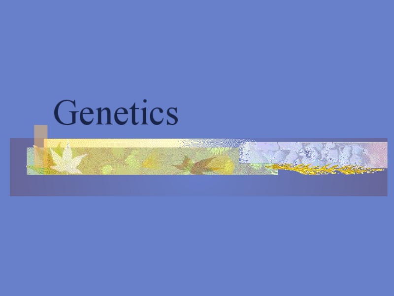 Genetics PPT