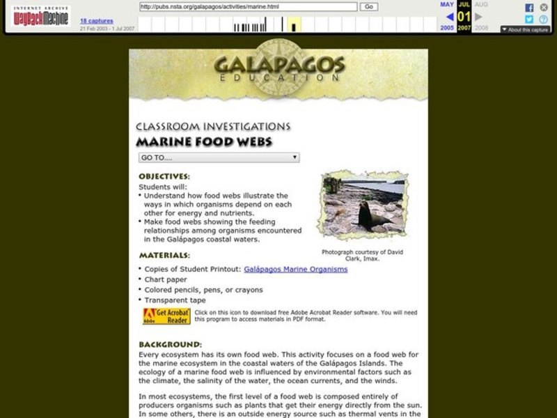 Marine Food Webs Lesson Plan