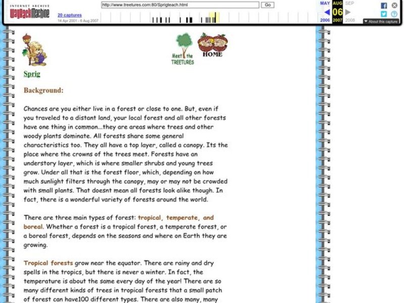 Treetures Lesson Plan