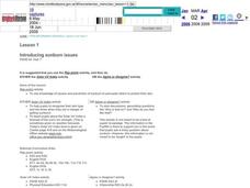 Introducing Sunburn Issues Lesson Plan