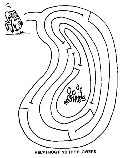 Frog Maze Worksheet