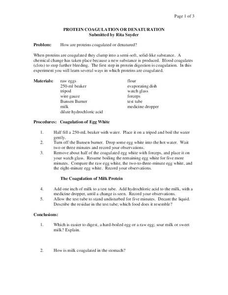 Protein Coagulation or Denaturation Worksheet