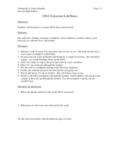 DNA Extraction Worksheet