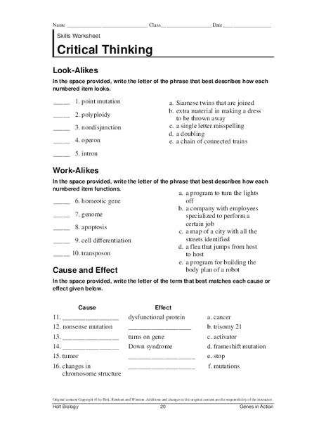Genetics - Critical Thinking Worksheet