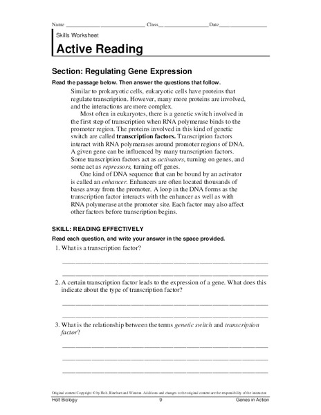 Regulating Gene Expression Worksheet