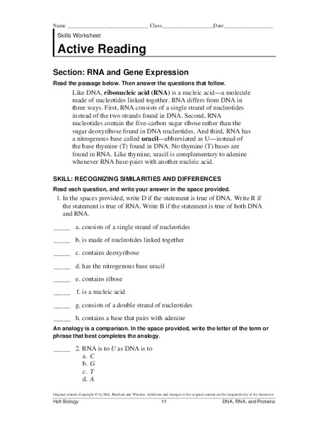 RNA and Gene Expression Worksheet