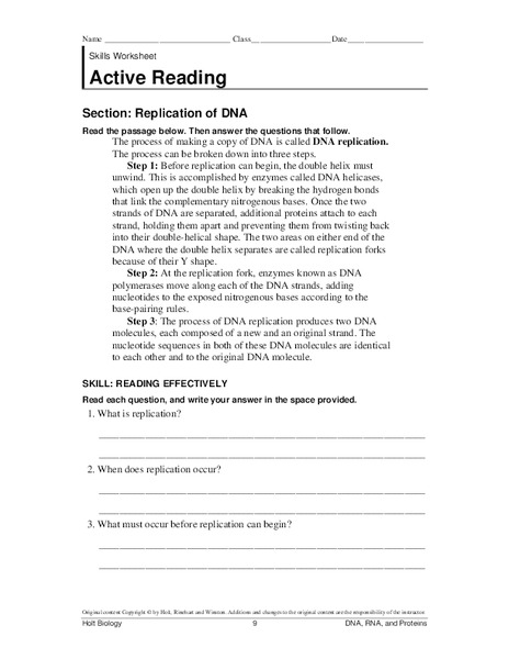 Replication of DNA Worksheet