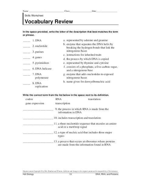 DNA Vocabulary Review Worksheet