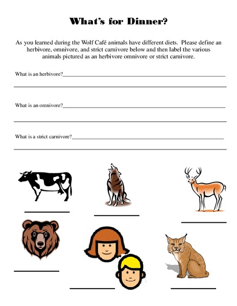What's For Dinner? Worksheet