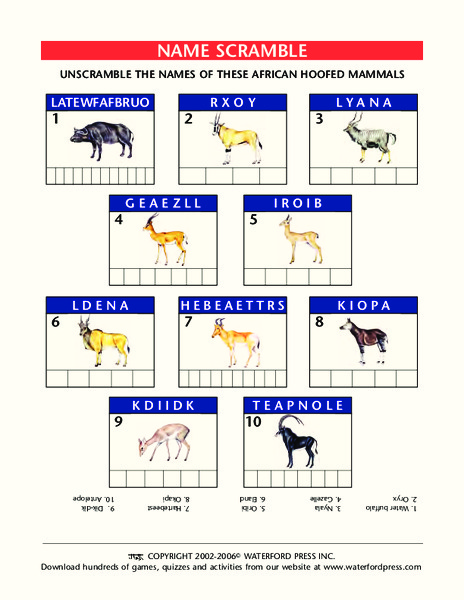 African Hoofed Mammals Name Scramble Worksheet