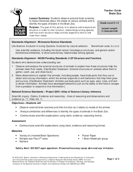 Brain Zoo Lesson Plan