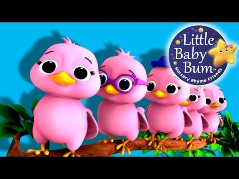 Five Little Birds Instructional Video