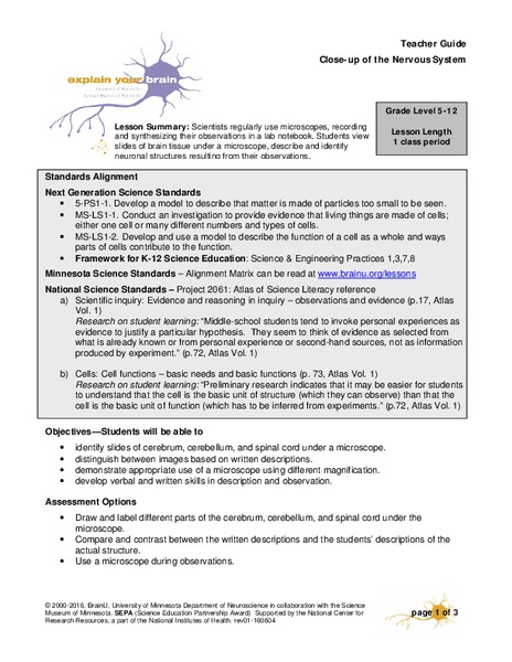 Close-up of the Nervous System Lesson Plan