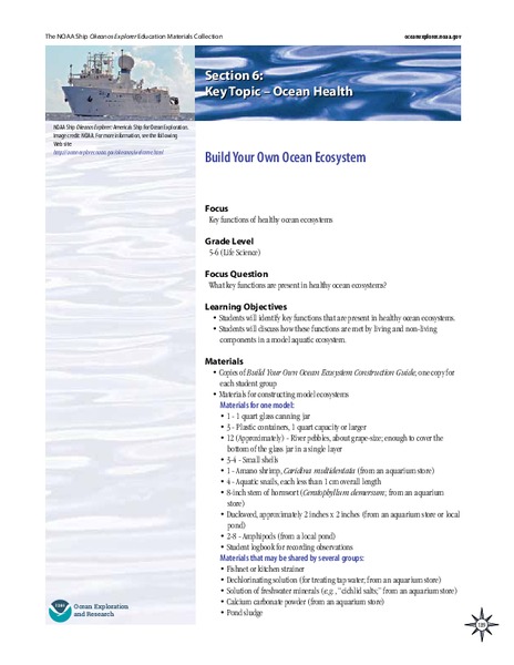 Build Your Own Ocean Ecosystem Lesson Plan