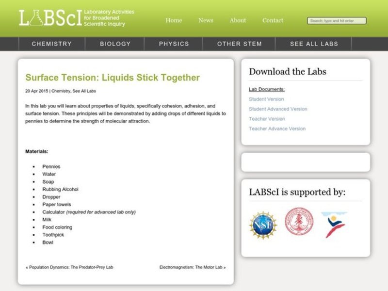 Surface Tension: Liquids Stick Together Lesson Plan