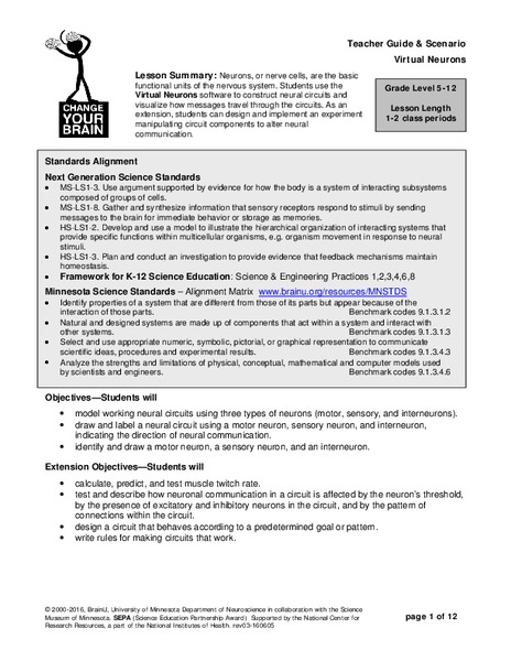 Virtual Neurons Lesson Plan