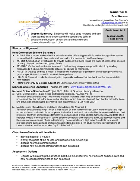 Bead Neuron Lesson Plan