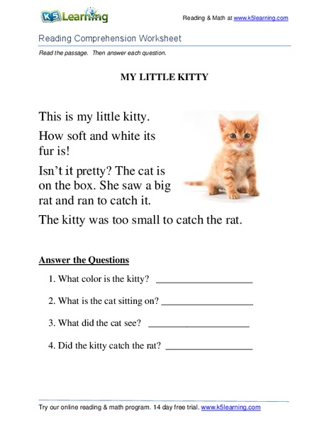 My Little Kitty Worksheet