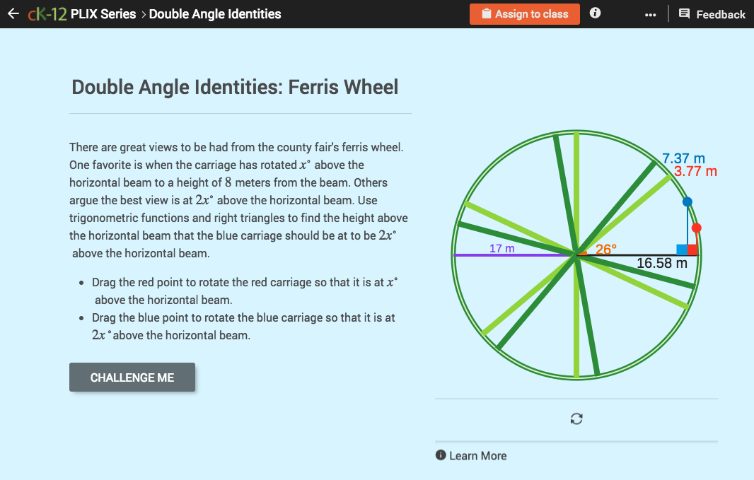 Double Angle Identities: Ferris Wheel Interactive