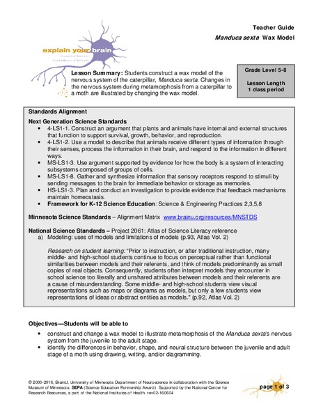 Manduca sexta Wax Model Lesson Plan