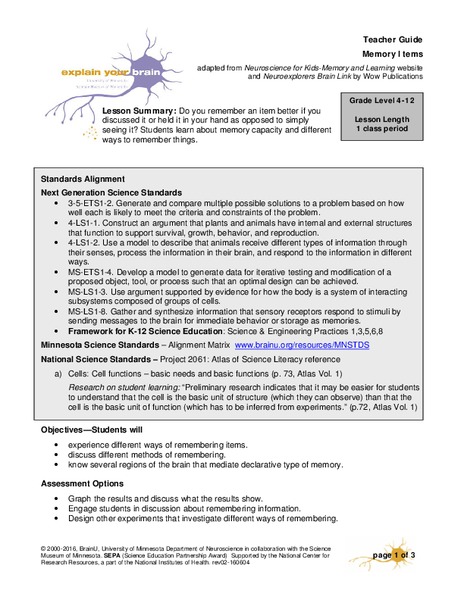 Memory Items Lesson Plan