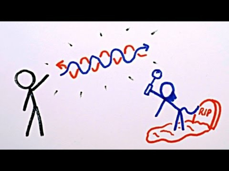 2012 Nobel Prize: How Do We See Light? Instructional Video