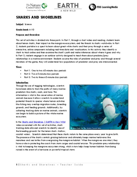 Sharks and Shorelines Lesson Plan