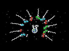 A Polarizing Discovery About the Big Bang! Instructional Video