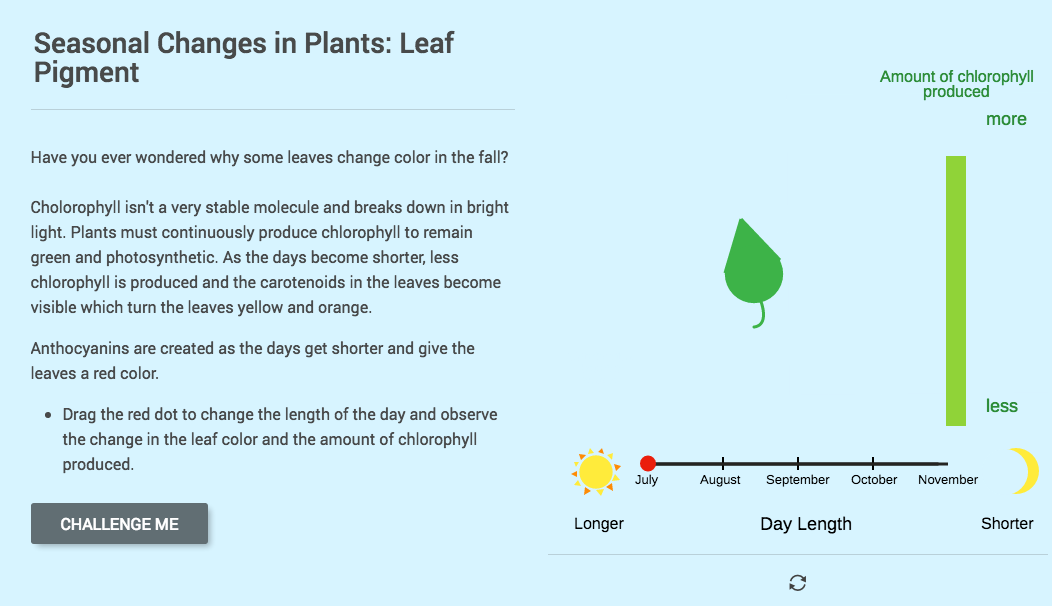 Seasonal Changes in Plants: Leaf Pigment Interactive