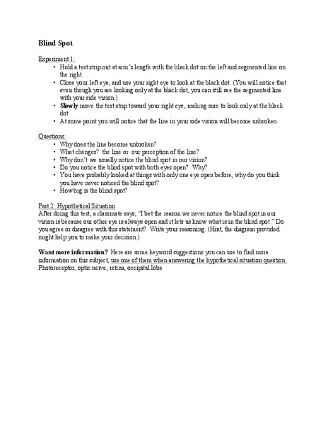 Blind Spot Lesson Plan