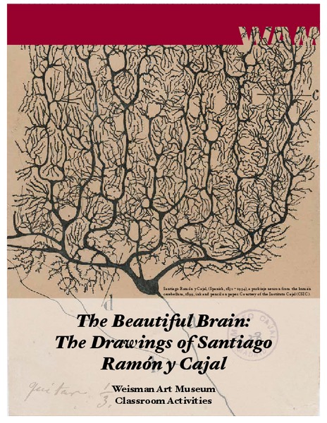 Beautiful Brain: Strangest Dream Lesson Plan