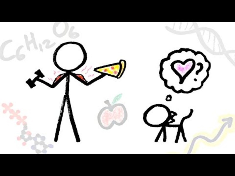 What Is the Purpose of Life? (Big Picture Ep. 5/5) Instructional Video