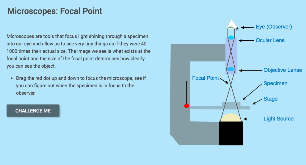 Microscopes: Focal Point Interactive
