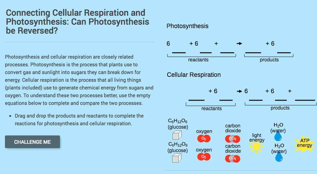 Cellular Respiration: Can Photosynthesis Be Reversed? Interactive