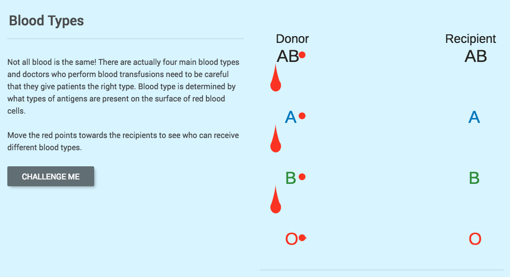 Blood Types Interactive