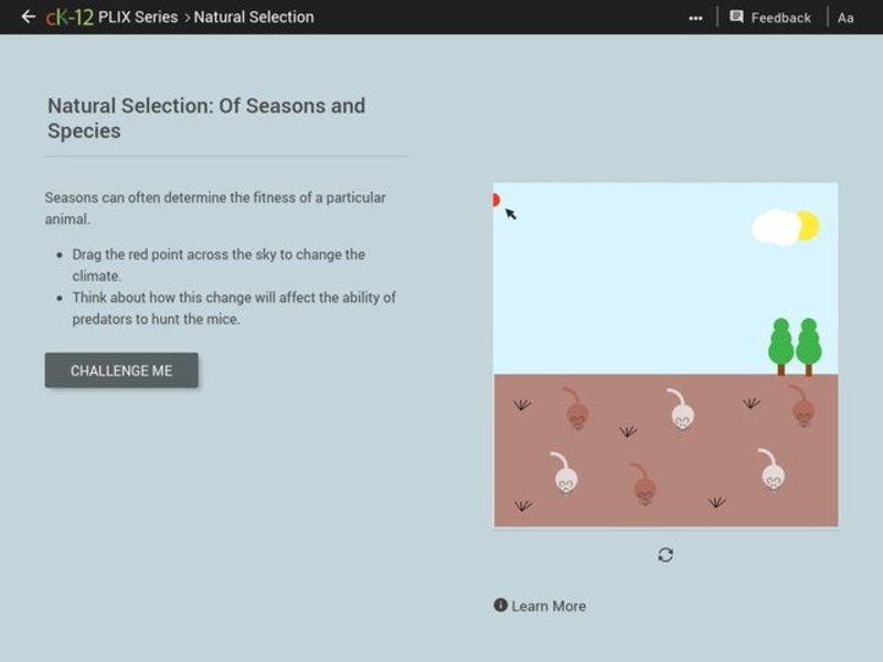 Natural Selection: Of Seasons and Species Interactive