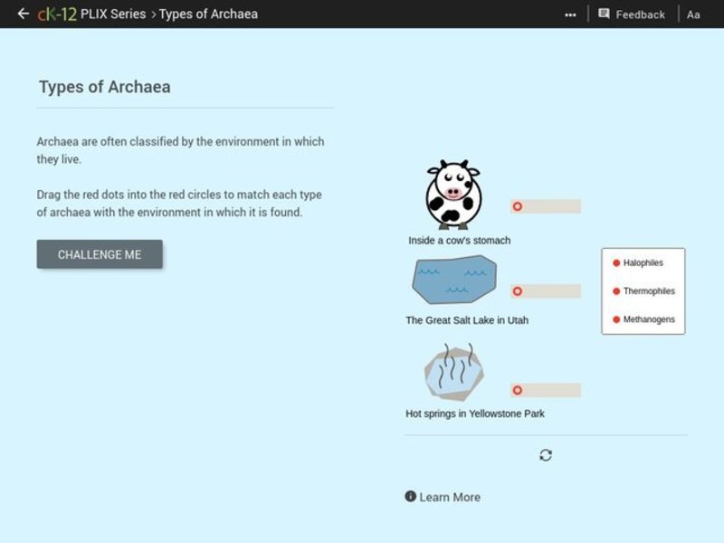 Types of Archaea Interactive