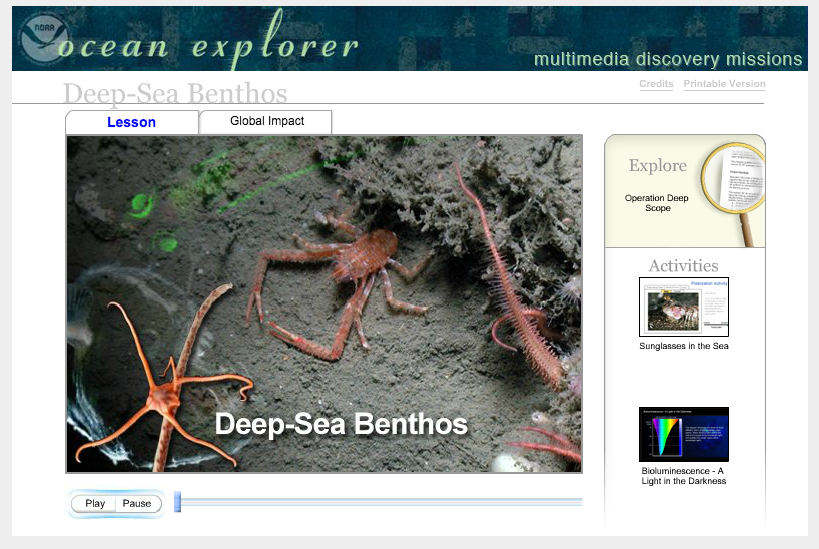 Deep-Sea Benthos Interactive