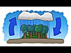 Which Came First—the Rain or the Rainforest? Instructional Video