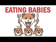Why Do Animals Eat Their Babies? Instructional Video