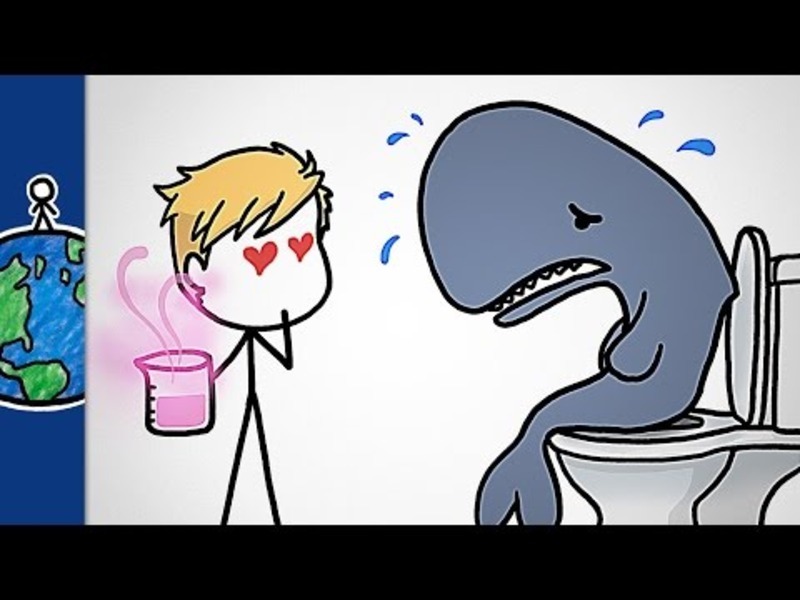 Ambergris: Why Perfume Makers Love Constipated Whales Instructional Video