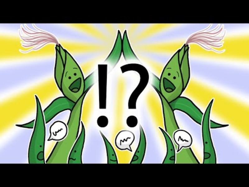 The Secret Social Life of Plants Instructional Video