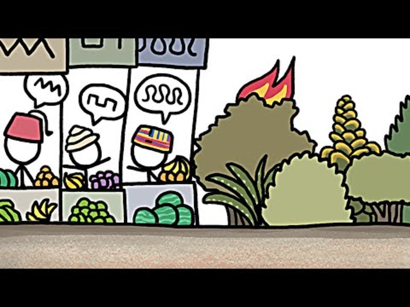 Why Poor Places Are More Diverse Instructional Video