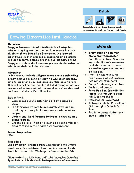 Drawing Diatoms like Ernst Haeckel Lesson Plan