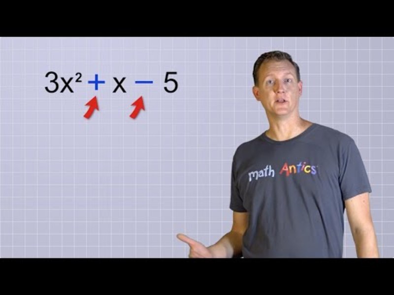 What Are Polynomials? Instructional Video