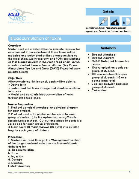 Bioaccumulation of Toxins Lesson Plan