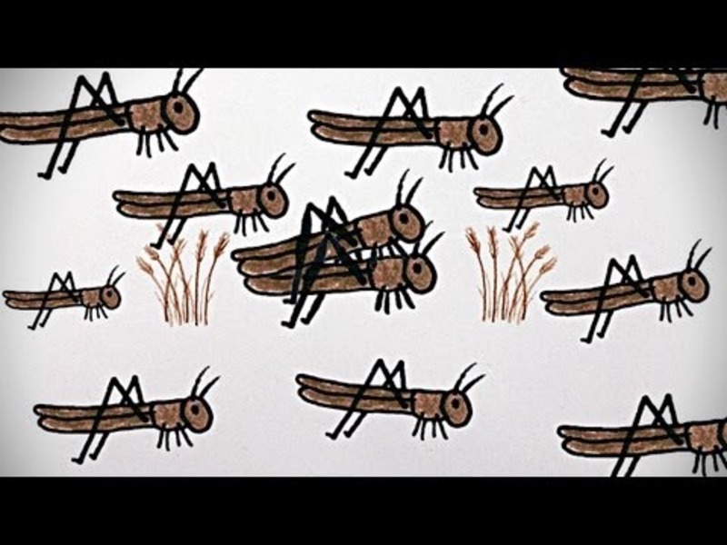 The Great North American Locust Plague Instructional Video