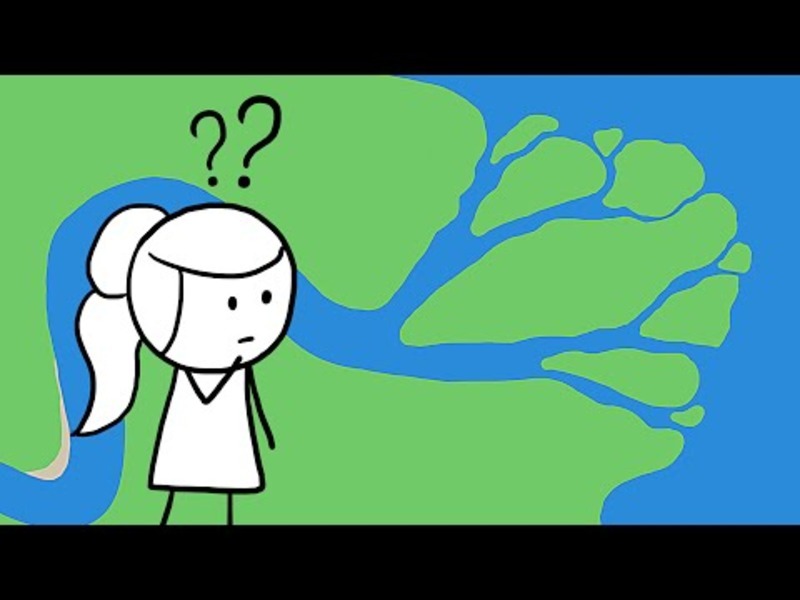 Why Do Rivers Have Deltas? Instructional Video